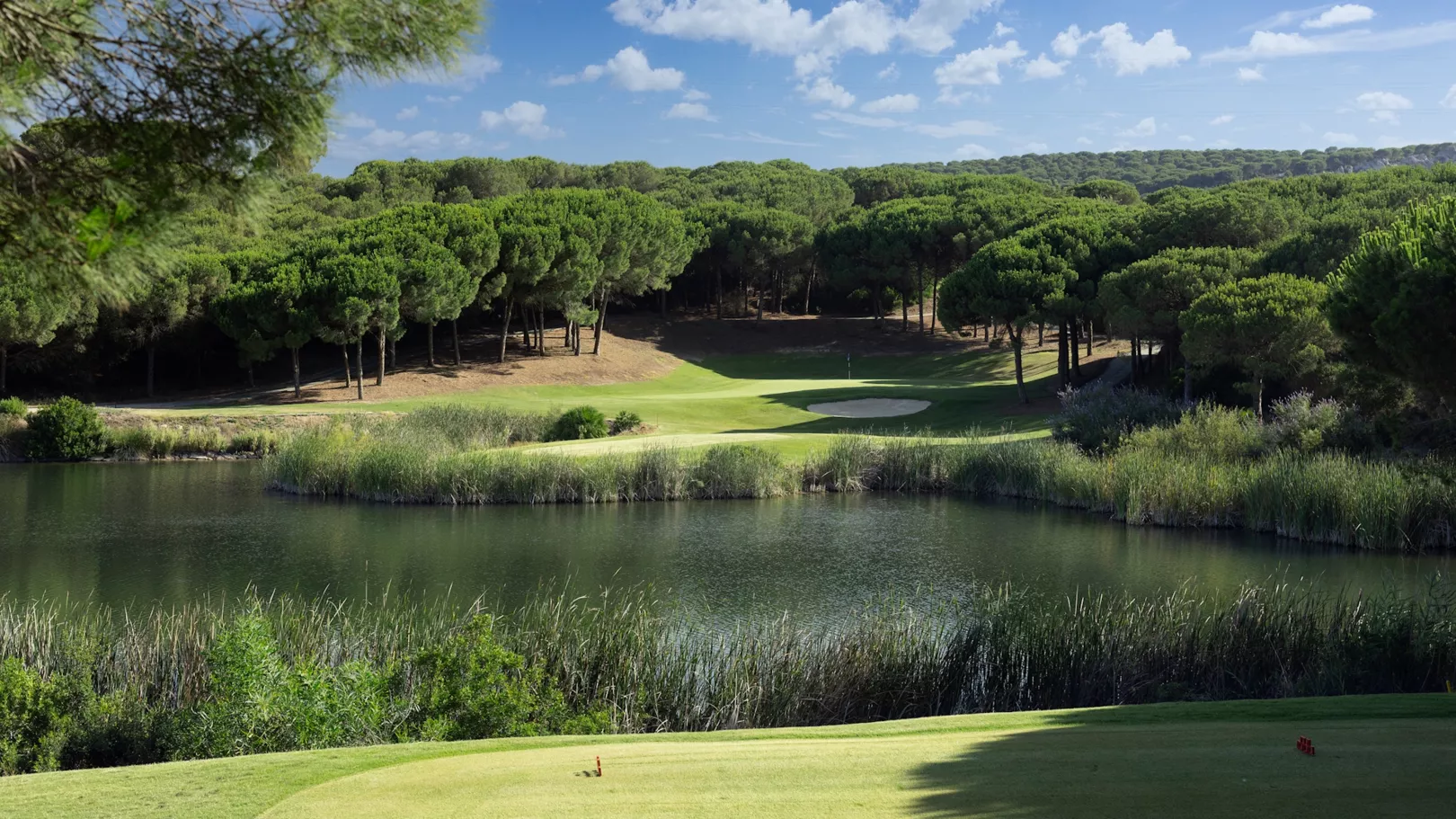 8009_ALMENARA_p_j_s_62A8375_v1 kopiera 2_edited.jpg