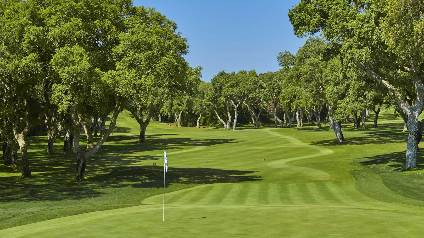 Valderrama 13th Hole_edited.jpg