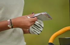 Saison amateur 2026 : Le calendrier provisoire