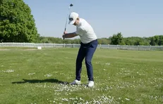 Dans les pâquerettes