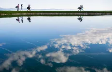 The Amundi Evian Championship en dix clichés