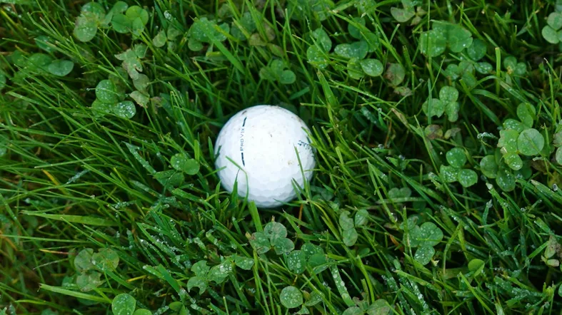 Éléments perturbateurs : Lie d'hiver