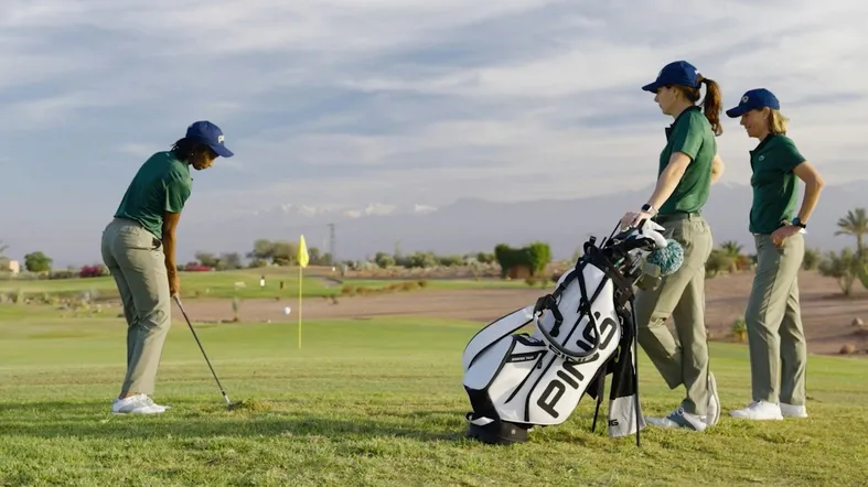 La gratte au chipping