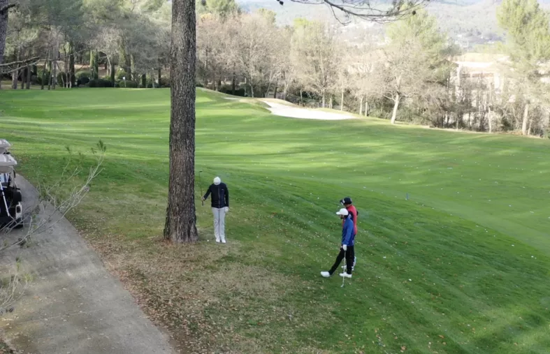 Collé à un arbre