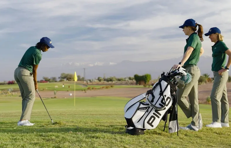 La gratte au chipping