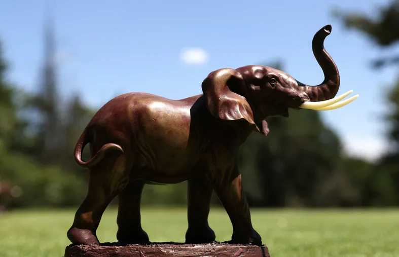 Golf professionnel : L'actu du 16 au 22 février