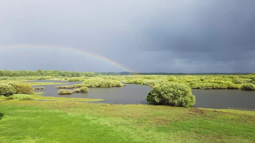 Le Domaine de la Garenne Lemot