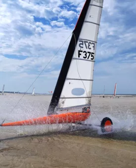 Incontournable char à voile