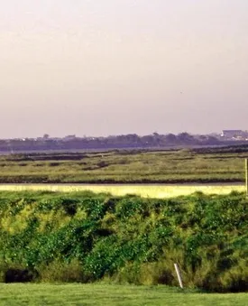 GOLF DE TROUSSE-CHEMISE