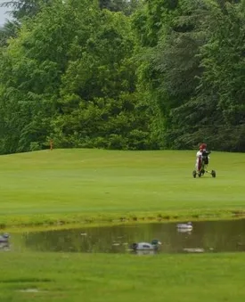 DOMAINE GOLF DE SAINT LAZARE