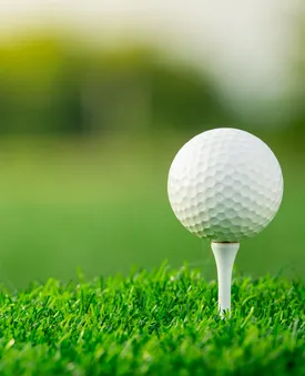 GOLF CHATEAU LES MERLES