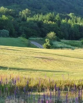 GOLF DES QUATRE SAISONS