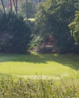 GOLF INTERNATIONAL D'ARCACHON