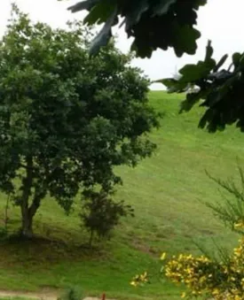 GOLF DE BREST LES ABERS