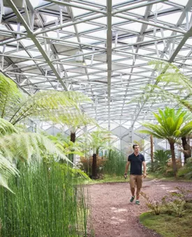 La Cité du design