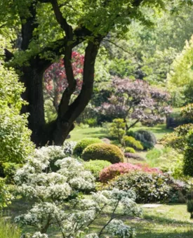 Le jardin zen d'Erik Borja
