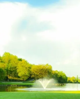 GOLF COUNTRY CLUB DE PALMOLA