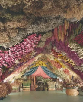 La ferme des fleurs séchées de Bayet