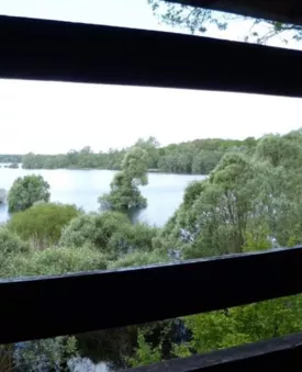 L’observatoire des oiseaux de la Forêt d'Orient