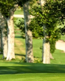 GOLF DU DOMAINE DE SAINT CLAIR