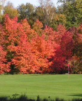GOLF UCPA BOIS LE ROI