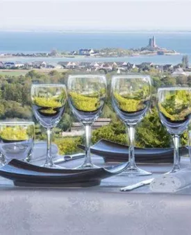 Le Panoramique