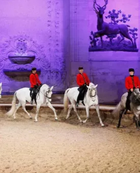 Les Grandes écuries et leurs spectacles
