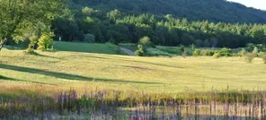 GOLF DES QUATRE SAISONS