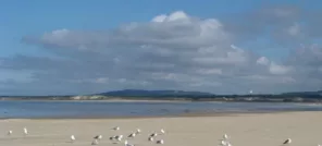 Le parc naturel de la Baie de Canche