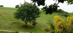 GOLF DE BREST LES ABERS