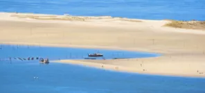 Fouler le sable blanc du Banc d'Arguin