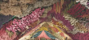 La ferme des fleurs séchées de Bayet