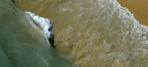 La Camargue et Salin de Giraud