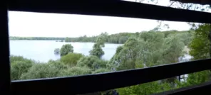 L’observatoire des oiseaux de la Forêt d'Orient