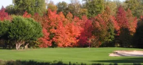 GOLF UCPA BOIS LE ROI