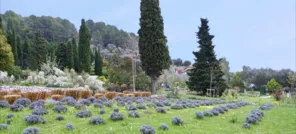 Les jardins du Musée international de la parfumerie