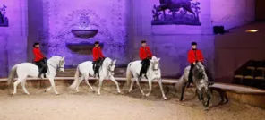 Les Grandes écuries et leurs spectacles