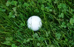 Éléments perturbateurs : Lie d'hiver