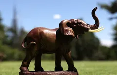 Golf professionnel : L'actu du 16 au 22 février